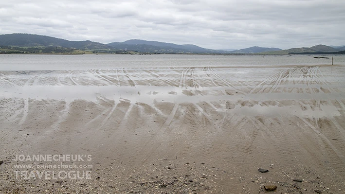 Tasmania Barilla Bay Oyster Farm