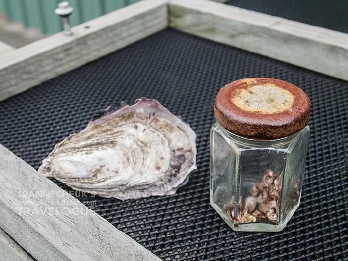 Tasmania Barilla Bay Oyster Farm