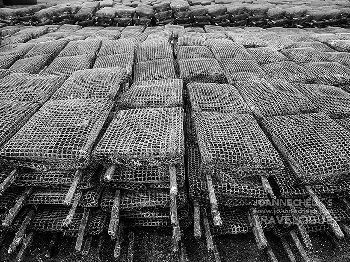 Tasmania Barilla Bay Oyster Farm