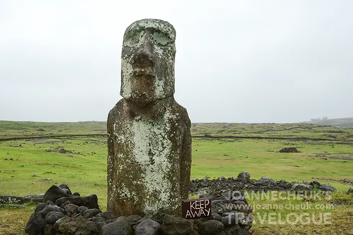 The Travelling Moai, Rapa Nui Easter Island