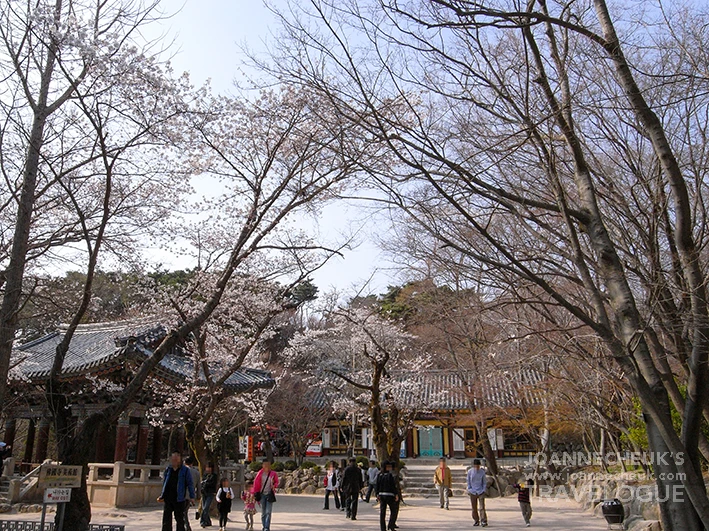 韓國慶州佛國寺