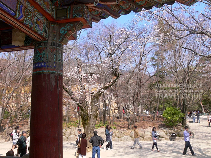 韓國慶州佛國寺