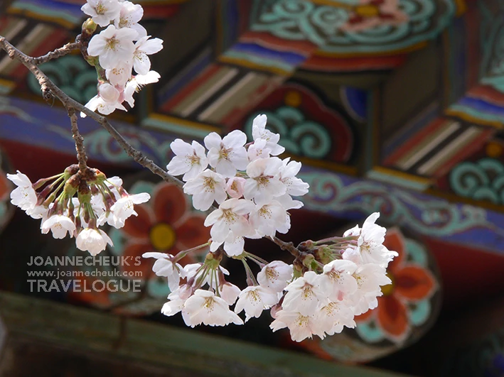 韓國慶州佛國寺