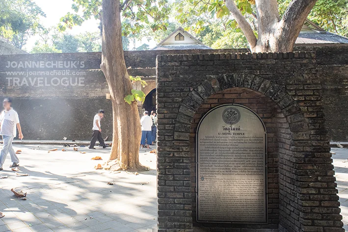 清邁Wat Umong悟孟寺