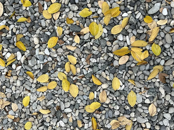 熊本八代龍王神社