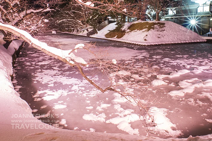 青森縣弘前市「冬櫻」