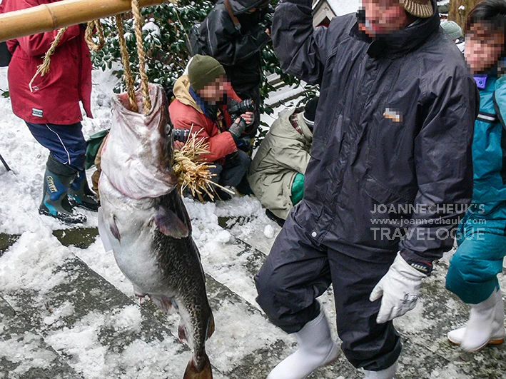 秋田縣金浦掛魚祭