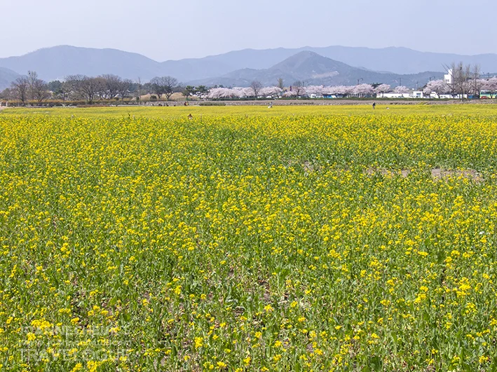 「慶州歷史遺蹟地區」慶州瞻星臺